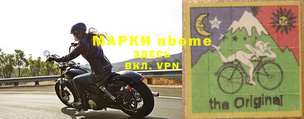 сатива Аркадак