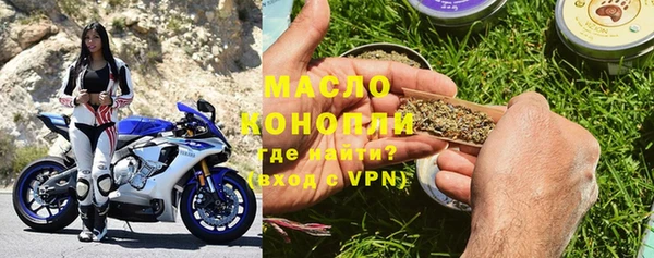 сатива Аркадак