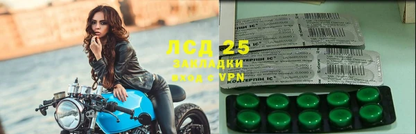 сатива Аркадак