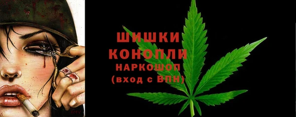 сатива Аркадак