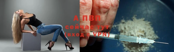 гидра Арсеньев