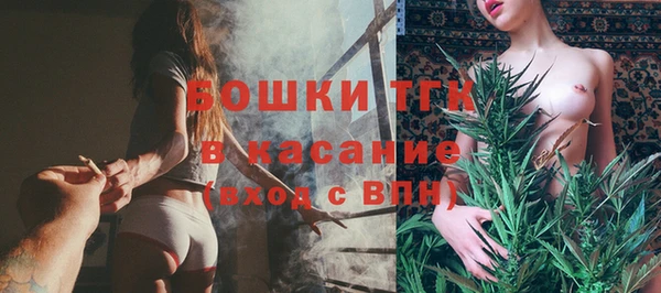 сатива Аркадак
