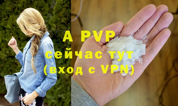 сатива Аркадак