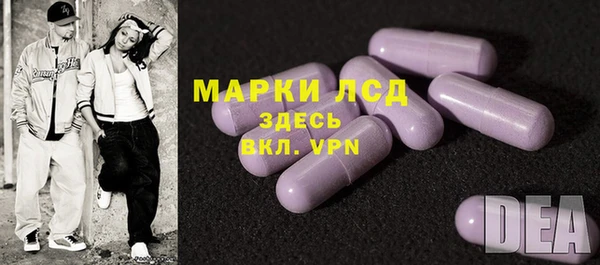 гидра Арсеньев