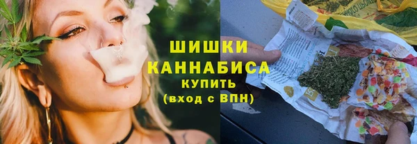 гидра Арсеньев