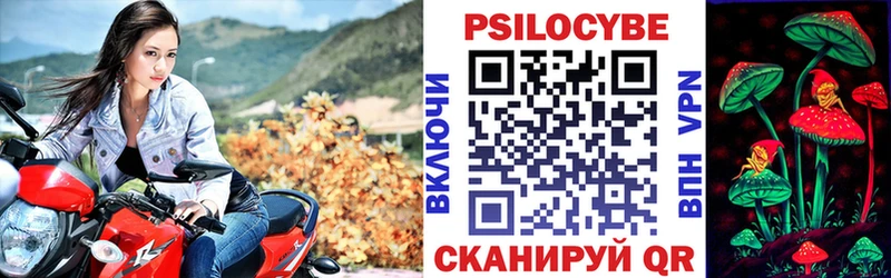 Псилоцибиновые грибы ЛСД  Грайворон 